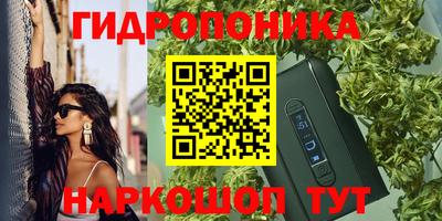 дживик Тайшет