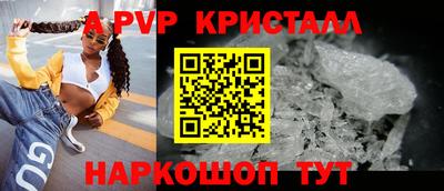 шишки Тавда