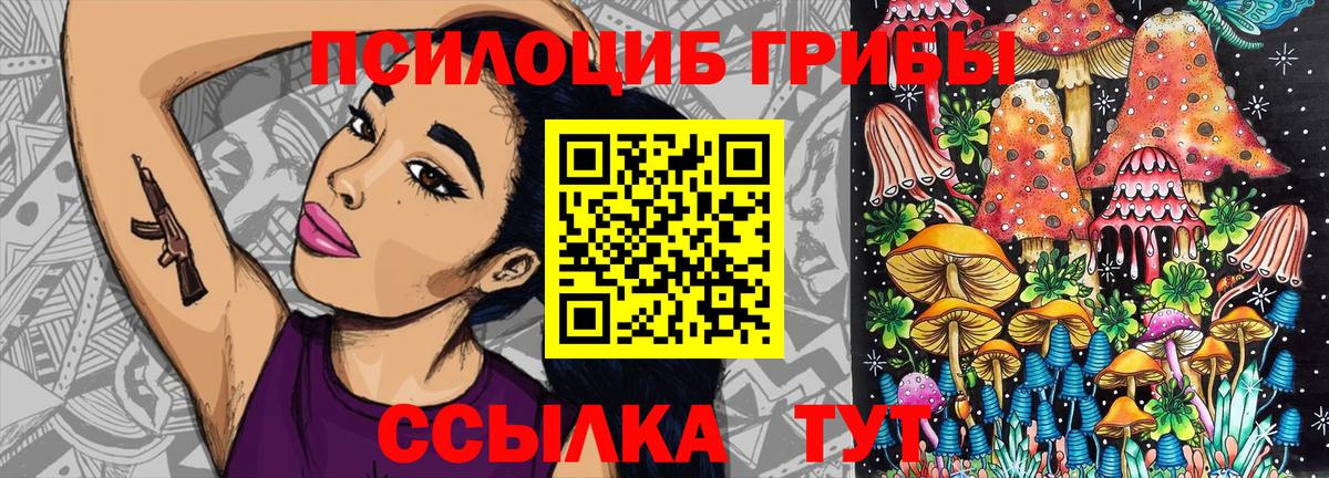 Баксан  Псилоцибиновые грибы Psilocybe  продажа наркотиков  Вход с VPN 
