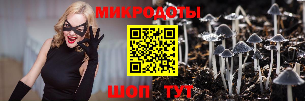 Псилоцибиновые грибы мицелий Баксан