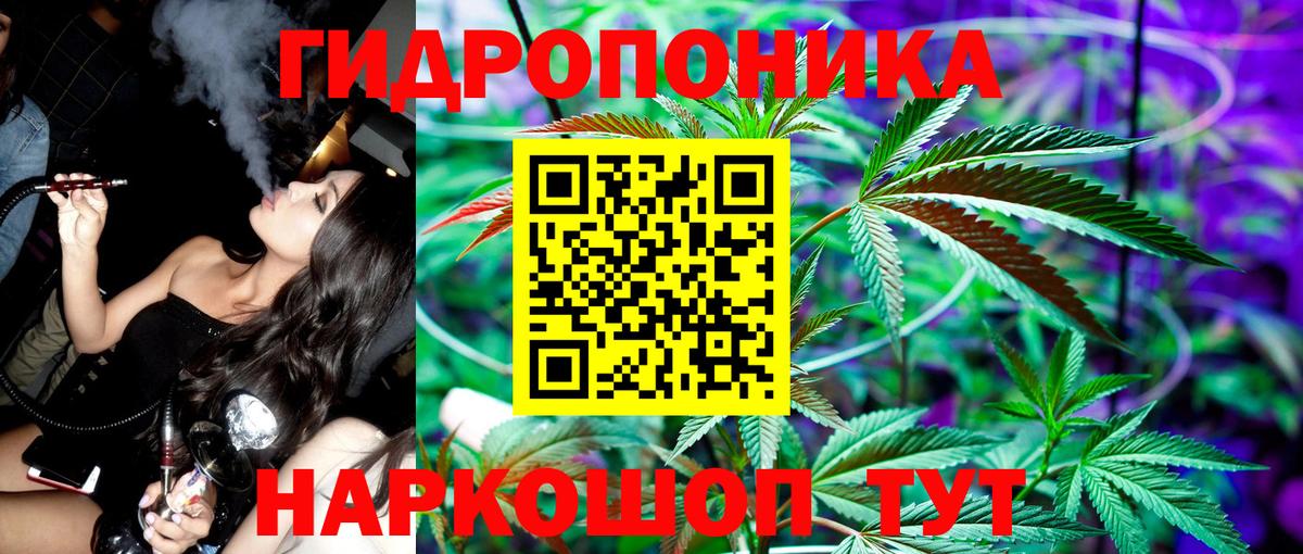 Шишки марихуана THC 21%  Канабис THC 21%  Баксан  Конопля сатива  Вход с VPN 